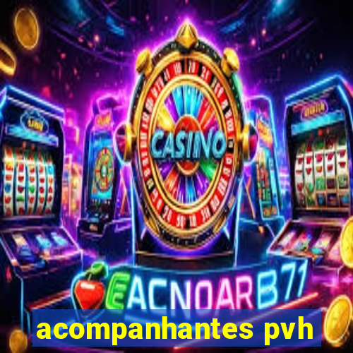 acompanhantes pvh